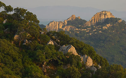 Parque Los Alcornocales