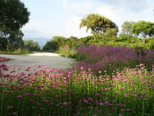 las lomillas camino forestal